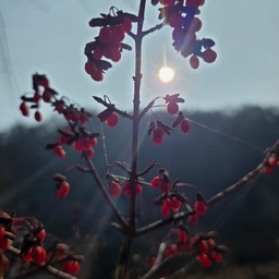 피드에 업로드 된 이미지