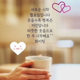 피드에 업로드 된 이미지