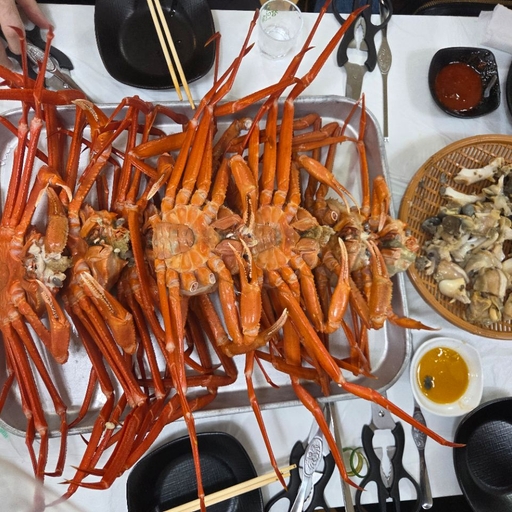 피드 이미지