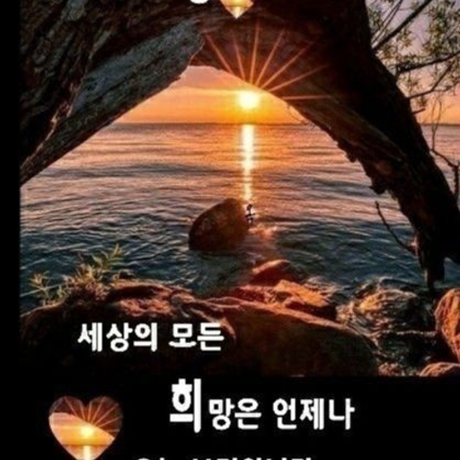 피드 이미지