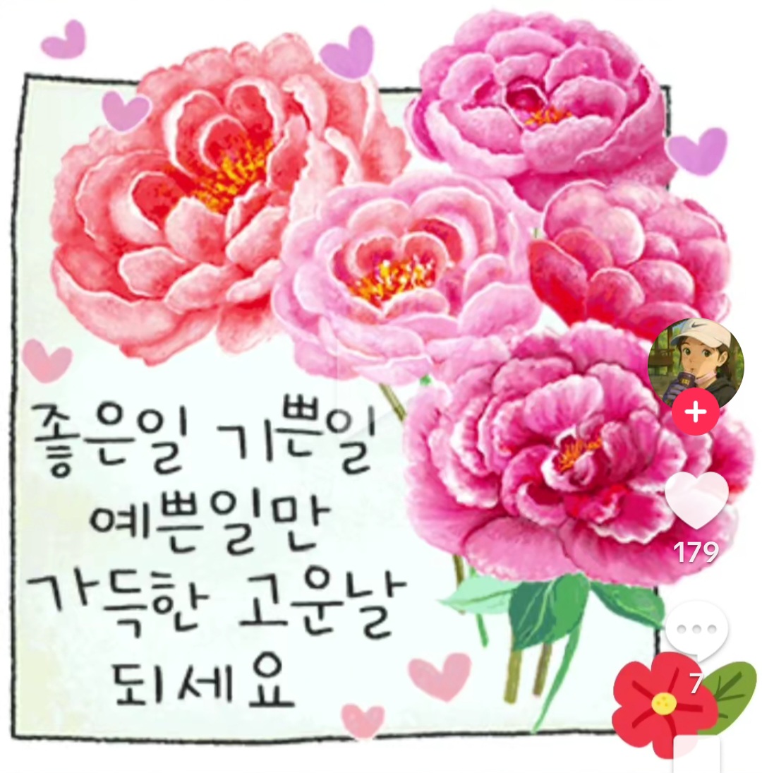 피드에 업로드 된 이미지