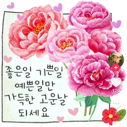 피드에 업로드 된 이미지
