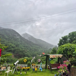 피드에 업로드 된 이미지