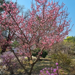 피드에 업로드 된 이미지