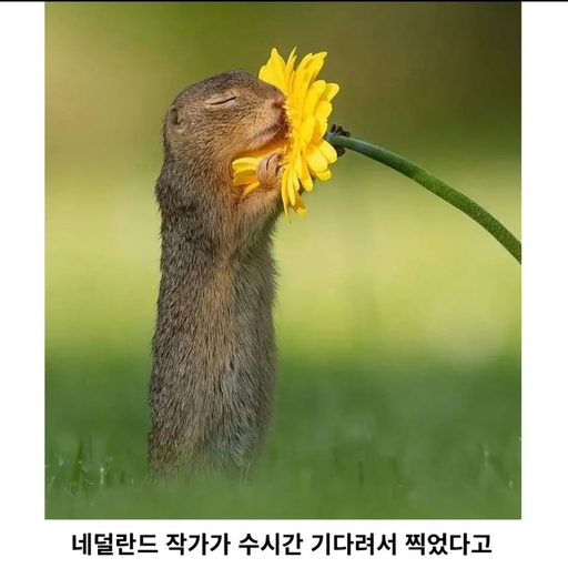 피드 이미지