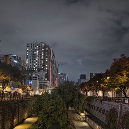 피드에 업로드 된 이미지