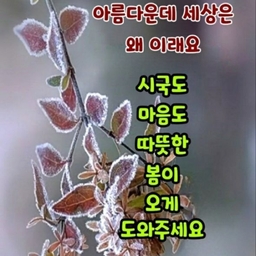 피드에 업로드 된 이미지
