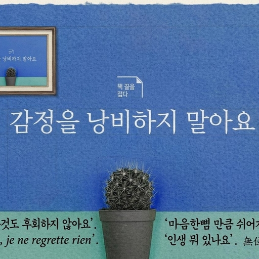 피드 이미지