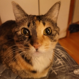 피드에 업로드 된 이미지