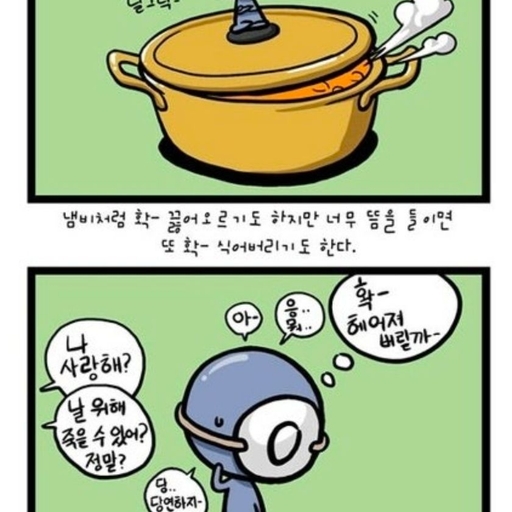 피드 이미지