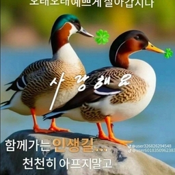피드에 업로드 된 이미지