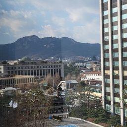 피드에 업로드 된 이미지