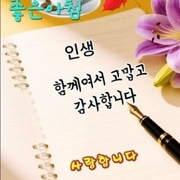 피드에 업로드 된 이미지