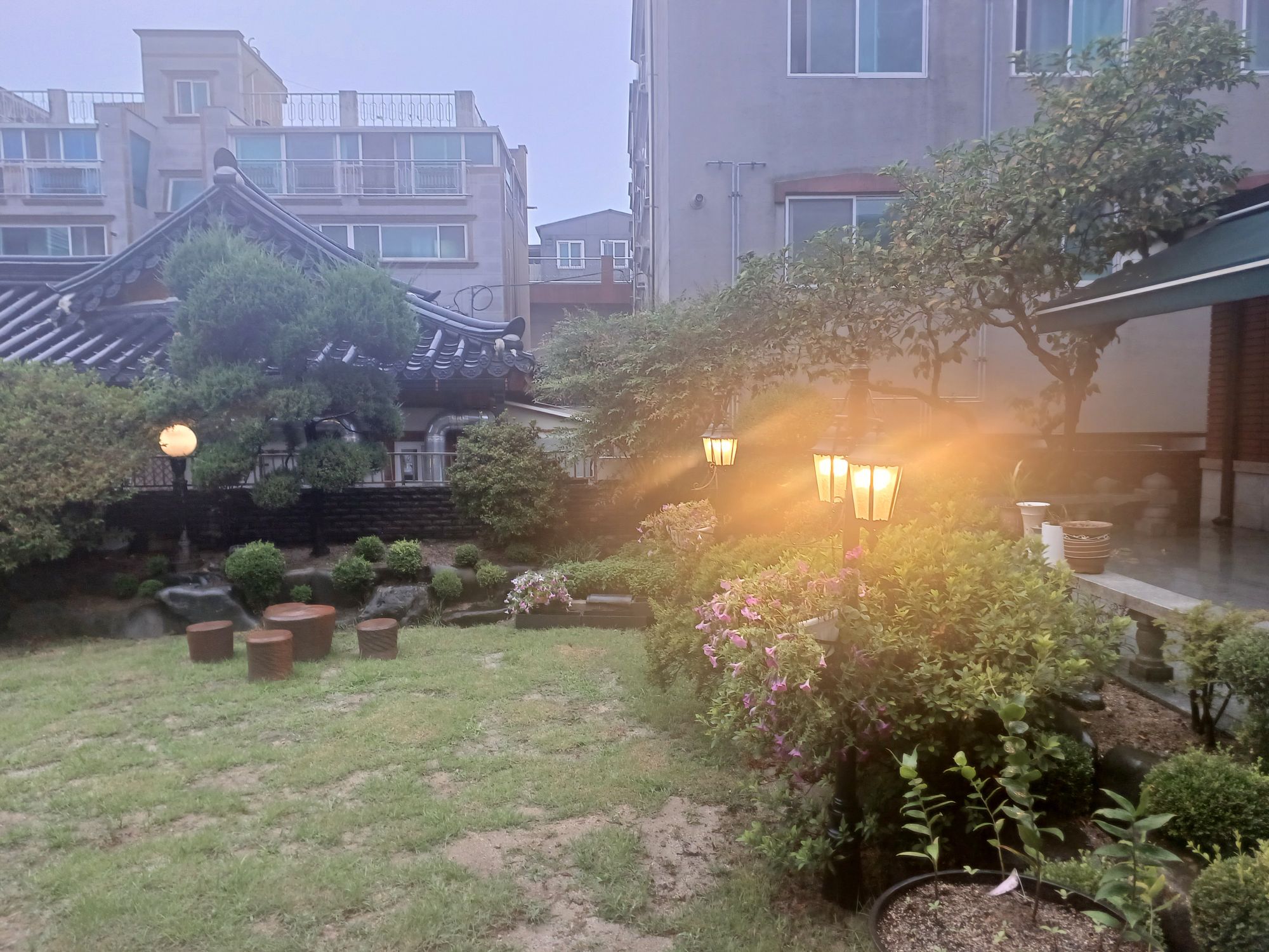 피드 이미지