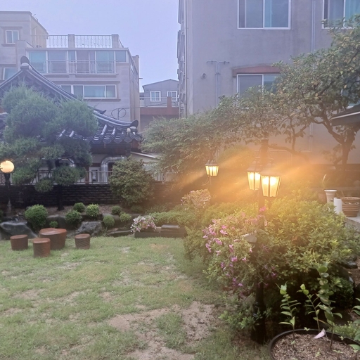 피드 이미지