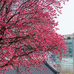 피드에 업로드 된 이미지