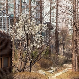 피드에 업로드 된 이미지