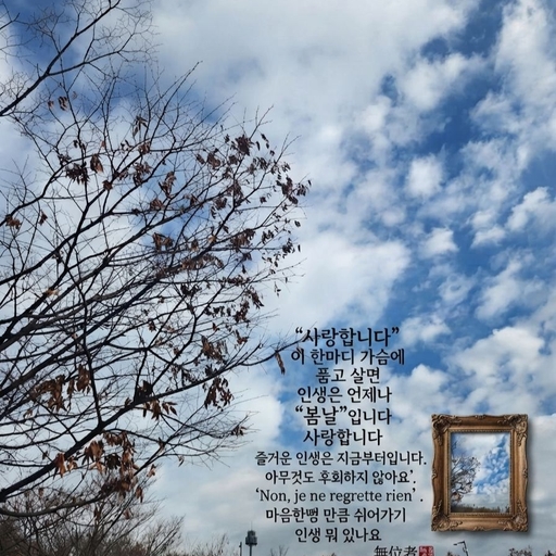 피드 이미지