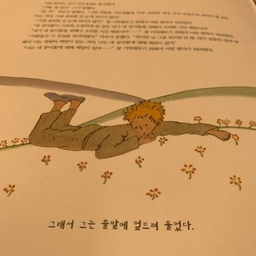 피드에 업로드 된 이미지