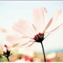 피드에 업로드 된 이미지