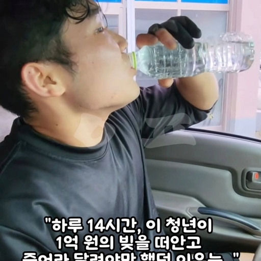 피드 이미지
