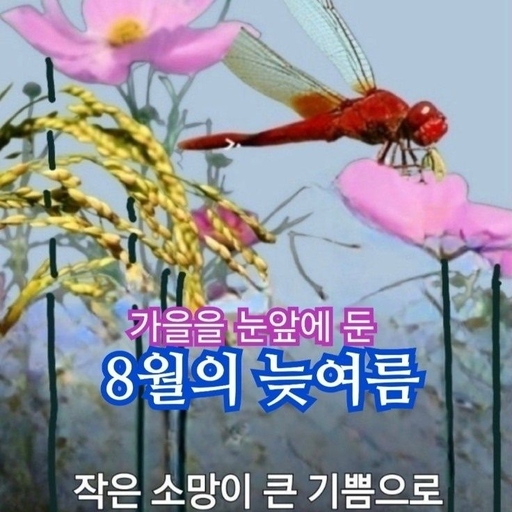 피드 이미지