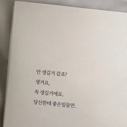 피드 이미지