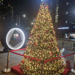 피드에 업로드 된 이미지