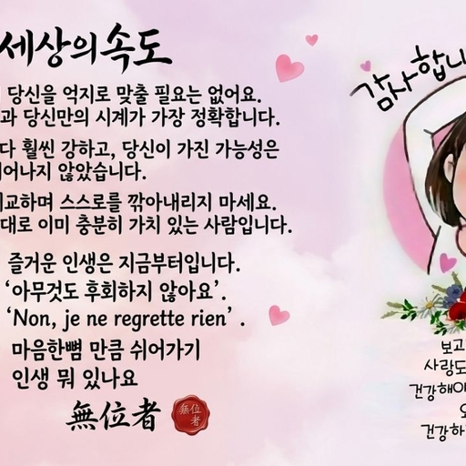 피드 이미지