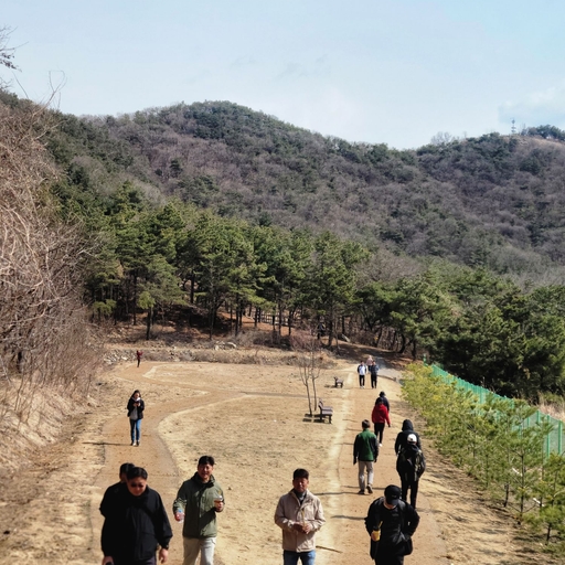 피드 이미지