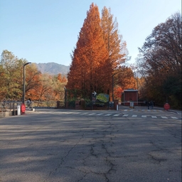 피드에 업로드 된 이미지