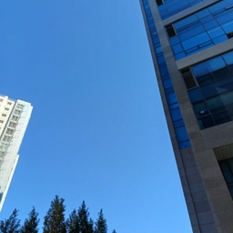 피드에 업로드 된 이미지