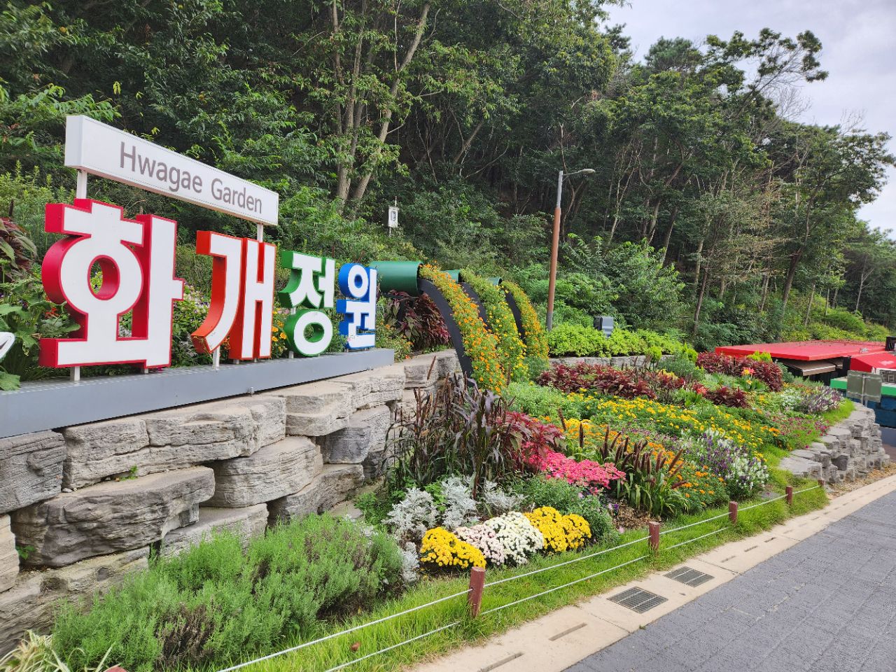 피드에 업로드 된 이미지