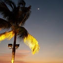 참가 유저 프로필