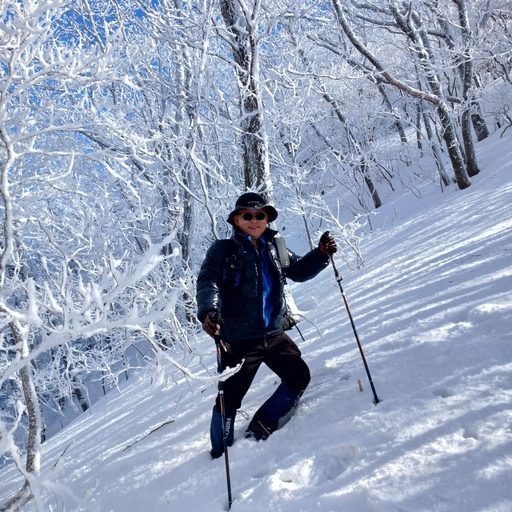 피드 이미지