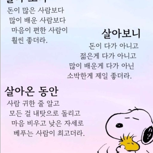 피드 이미지