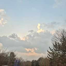 피드에 업로드 된 이미지