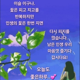 피드에 업로드 된 이미지