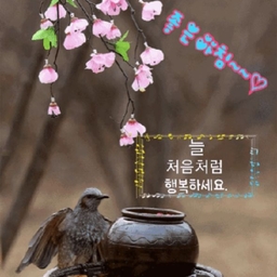 피드에 업로드 된 이미지