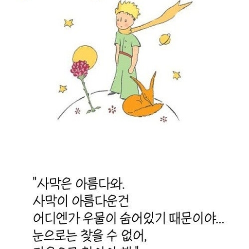 피드 이미지