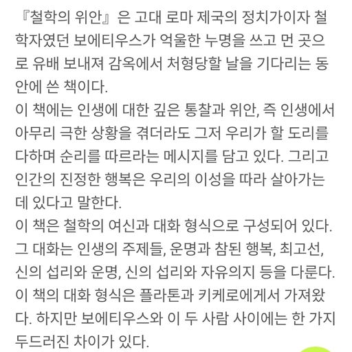 피드 이미지
