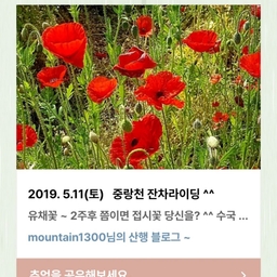 피드에 업로드 된 이미지