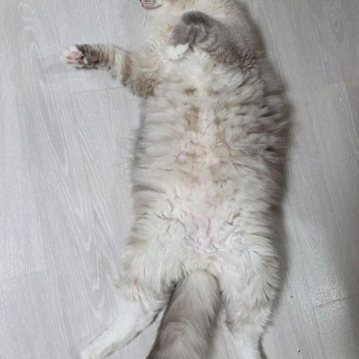 피드 이미지
