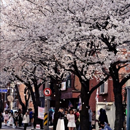 피드에 업로드 된 이미지