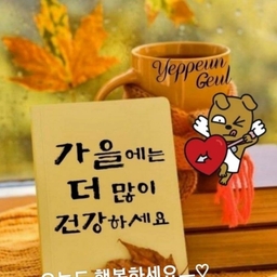 피드에 업로드 된 이미지