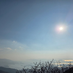 피드에 업로드 된 이미지