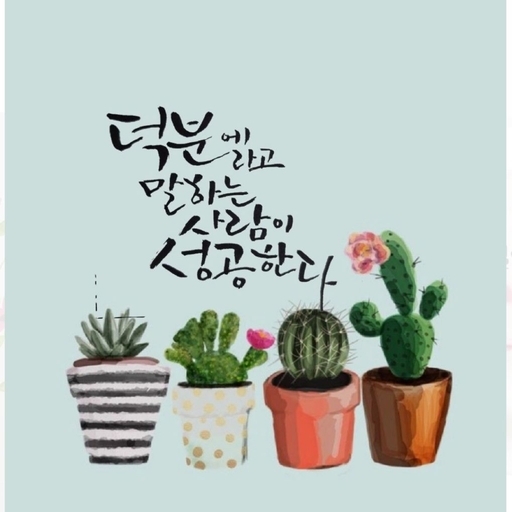 피드 이미지