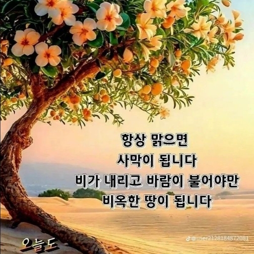 피드 이미지