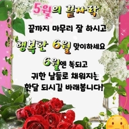 피드에 업로드 된 이미지