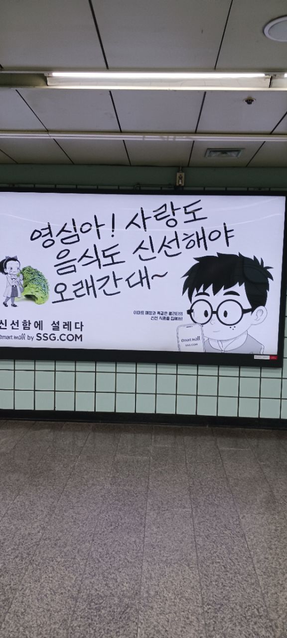 피드 이미지